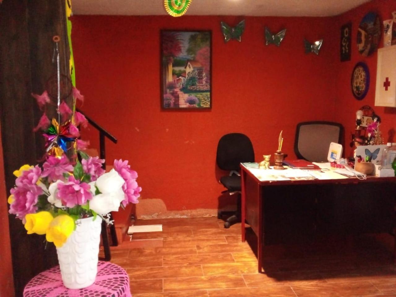 Posada "Jardin Huasteca Xilitla" מראה חיצוני תמונה